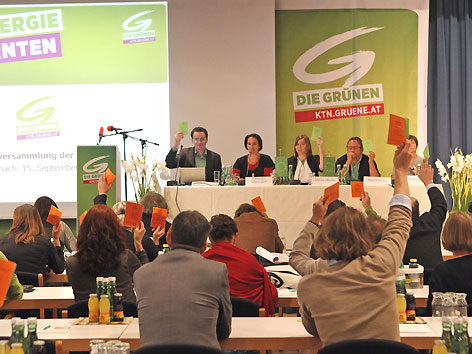 grüne landesversammlung neuwahlen regierung