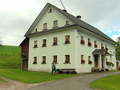 SSC Bergbauernhof Dolinar