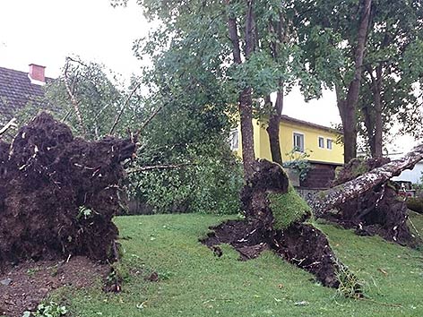 Ebenthal Park Hagel Unwetter entwurzelte Bäume