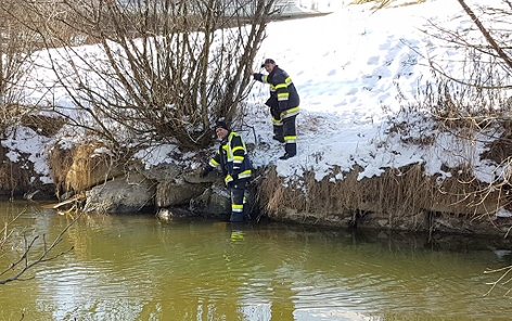 Biber Villach Rettung Feuerwehr eingeklemmt Seebach
