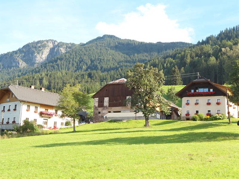 Saurierfunde Laaserberg Geopark Karnische Alpen