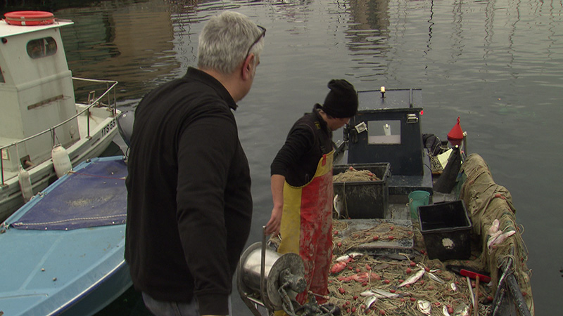SSC Fischhändler Triest roher Fisch Zubereitung Spezialitäten