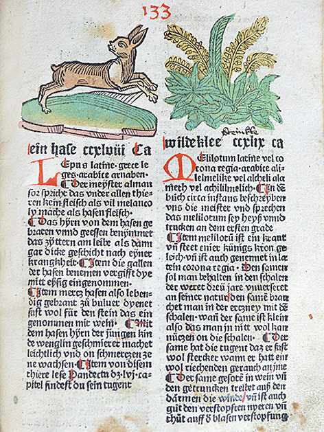 Alte Kräuterbücher Kräuterbuch
